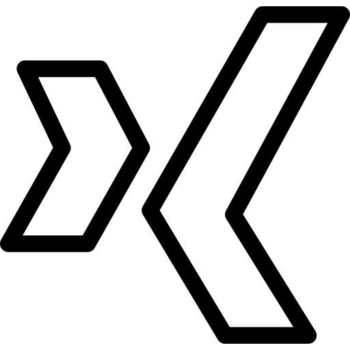 Xing Icon